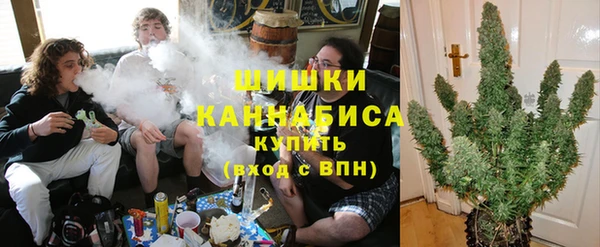 гидропоника Няндома