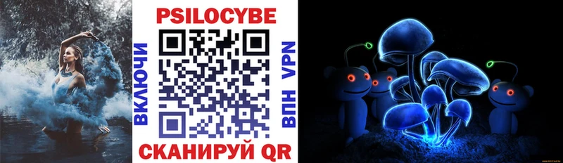 Галлюциногенные грибы мицелий  ОМГ ОМГ как зайти  Алатырь 