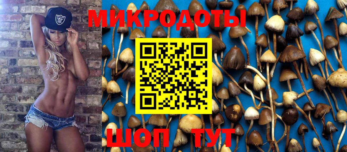Галлюциногенные грибы GOLDEN TEACHER  Вход с VPN  Псилоцибиновые грибы ЛСД  Алатырь 