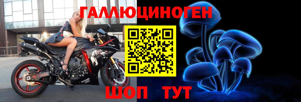 Псилоцибиновые грибы Cubensis  Псилоцибиновые грибы GOLDEN TEACHER  Алатырь 